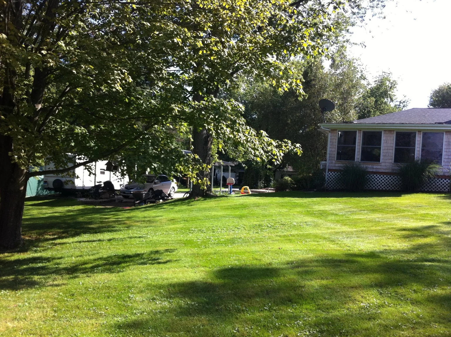 Freshly mowed shaded residential lawn